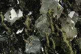 Lustrous Dark Green Epidote Crystals with Quartz - Turkey #303460-2